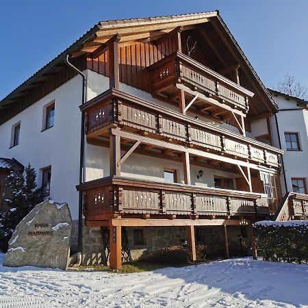 Haus Haidweg - Ferienwohnungen in Haidmühle im Dreiländereck DE-CZ-AT Exterior foto